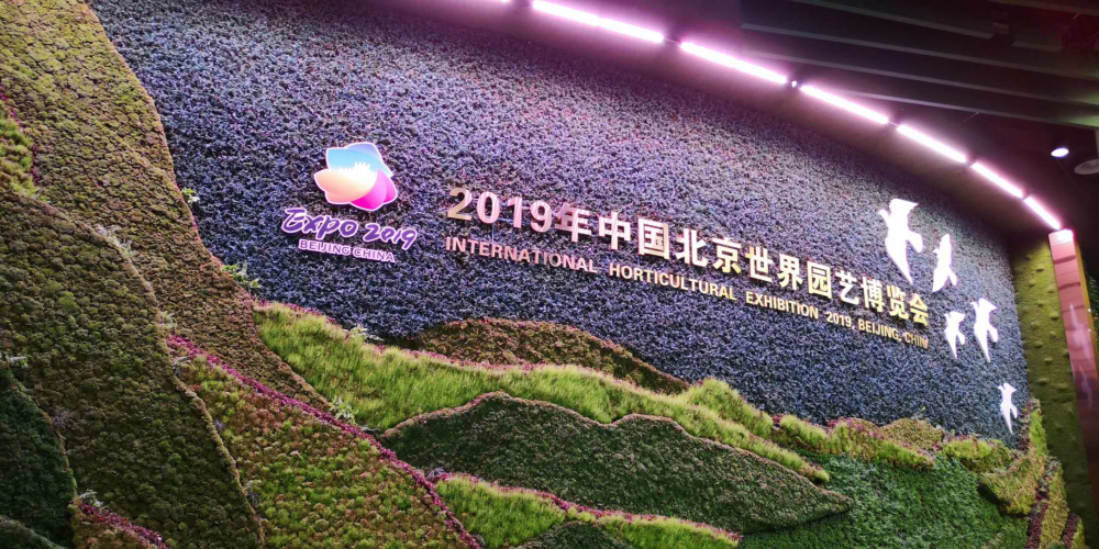 微信图片_20190513143243.jpg